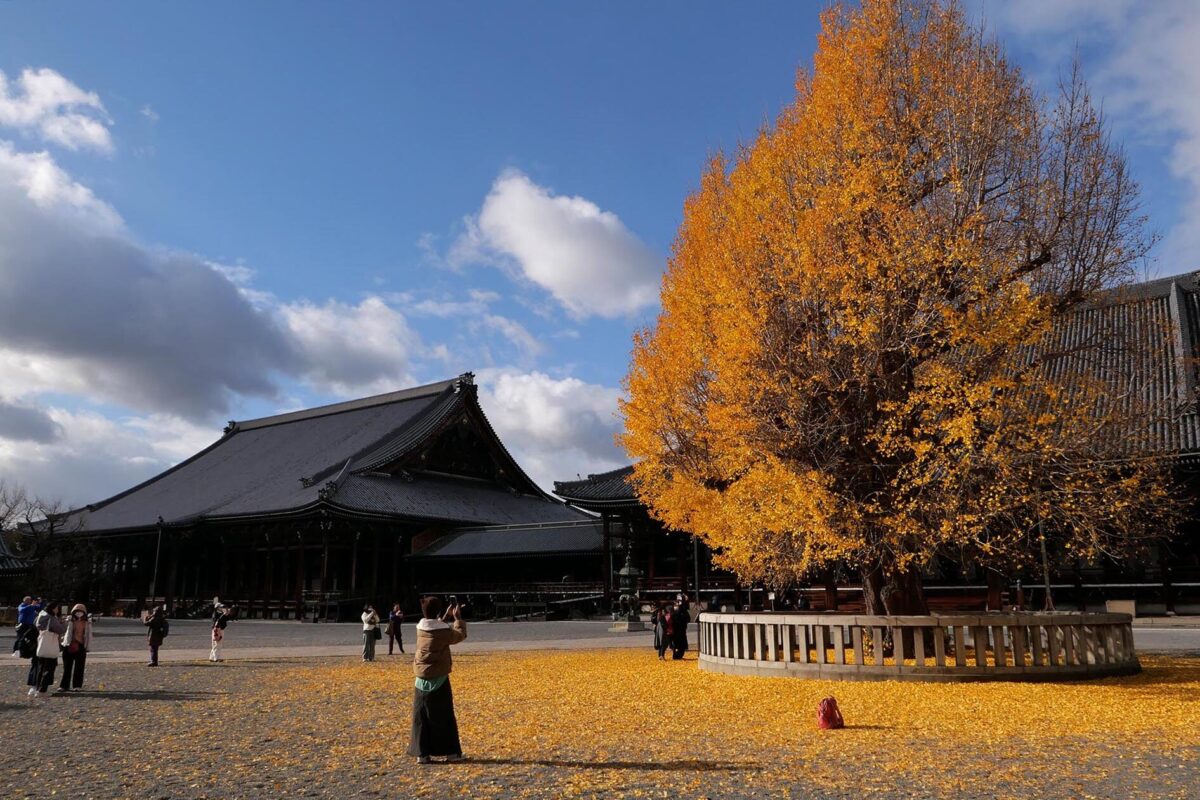 나만의 고즈넉한 교토를 즐기자!